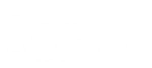 Sorin